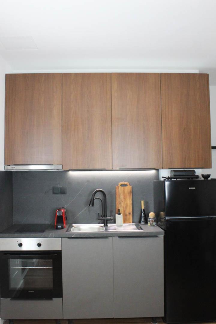 Down Town Luxurious Apartments 4 亚历山德鲁波利斯 外观 照片